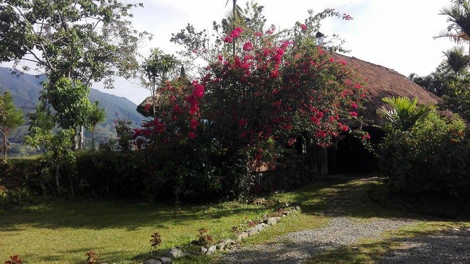 Native Village Inn Banaue Eksteriør billede