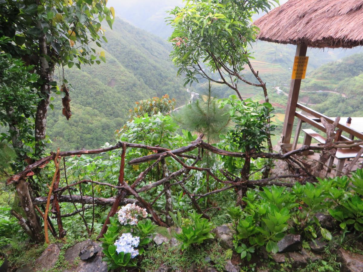 Native Village Inn Banaue Eksteriør billede