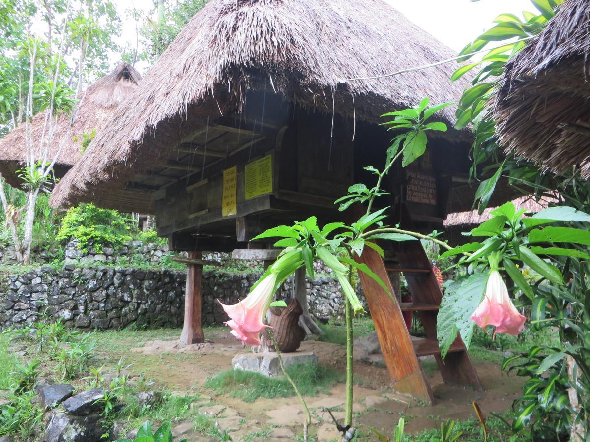 Native Village Inn Banaue Eksteriør billede